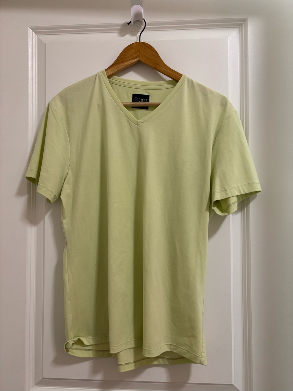 Cuts Men's V-Neck T-Shirt in Light Green
